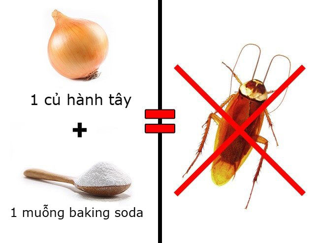 bestie tuyet chieu diet con trung trong nha