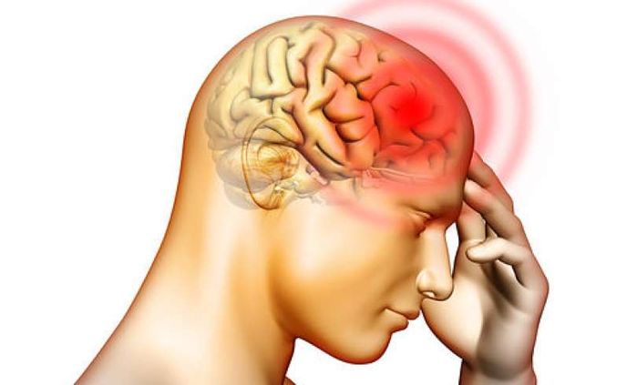 Những điều thú vị về bộ não con người mà có thể bạn chưa biết