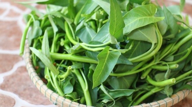 Rau muống là loại thực phẩm rất dễ nhiễm chì