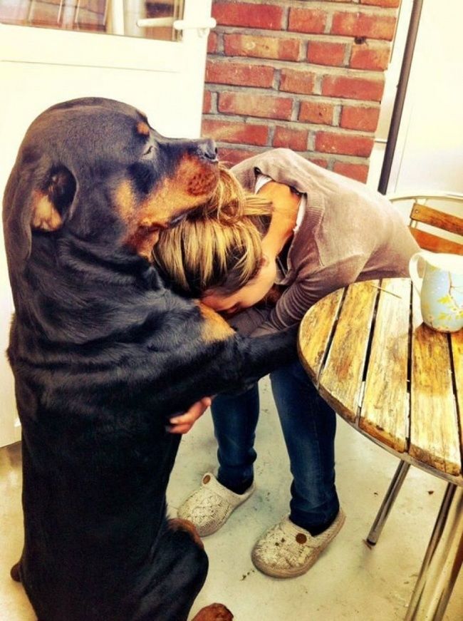 bestie