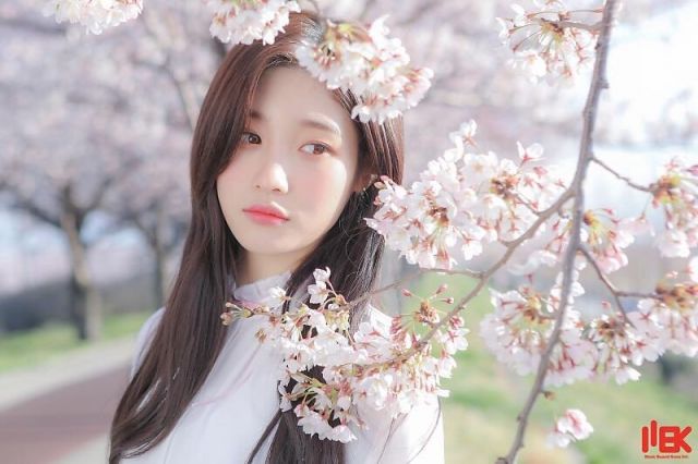 Những sao nữ Kpop nhận được những lời cưa cẩm từ các nam thần tượng