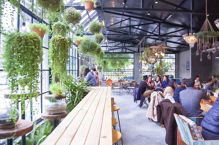 bestie van hoa cafe Sai Gon - Ha Noi