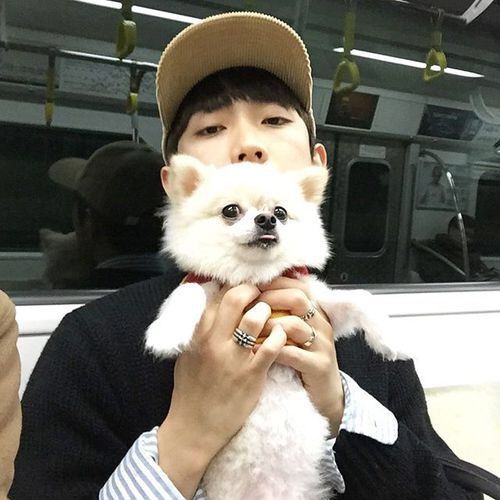 bestie mau dan ong li tuong