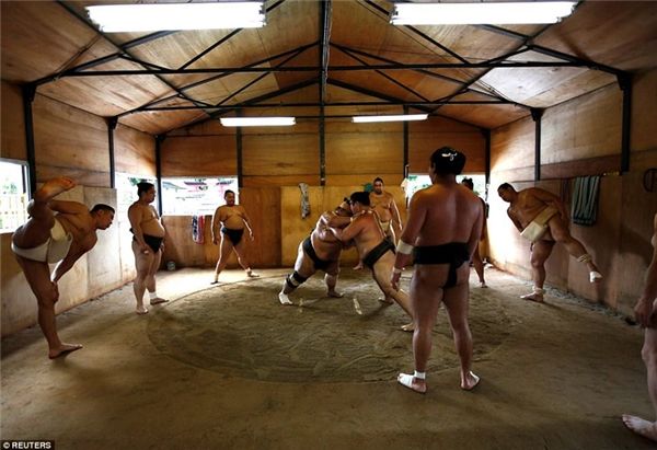 Cuộc sống bí mật đằng sau những thân hình nặng nề của võ sĩ sumo