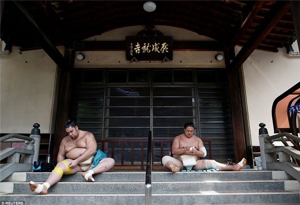 Cuộc sống bí mật đằng sau những thân hình nặng nề của võ sĩ sumo