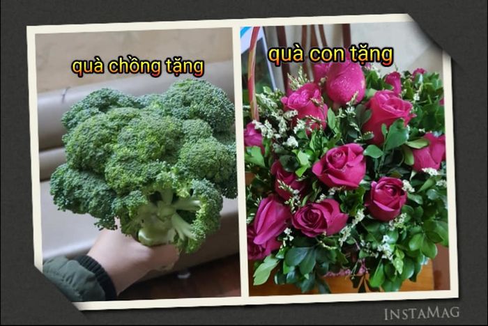 bestie qua 8/3 ba dao
