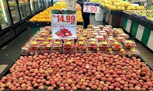Khi hàng hiệu thế giới là “đồ rẻ tiền” tại Việt Nam