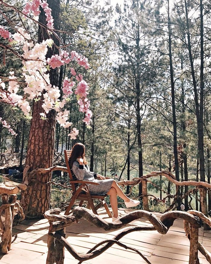 Bestie - DaLat ve dẹp hop hon dan mang
