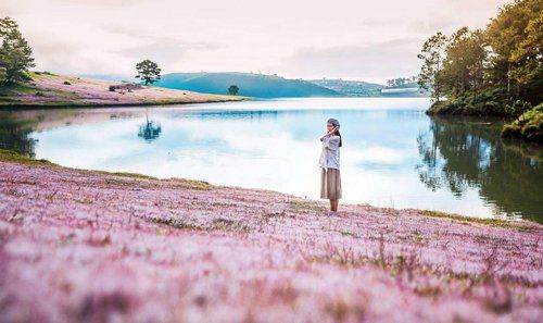 Bestie - DaLat ve dẹp hop hon dan mang