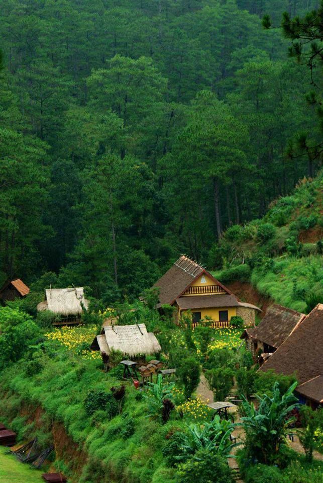 Bestie - DaLat ve dẹp hop hon dan mang