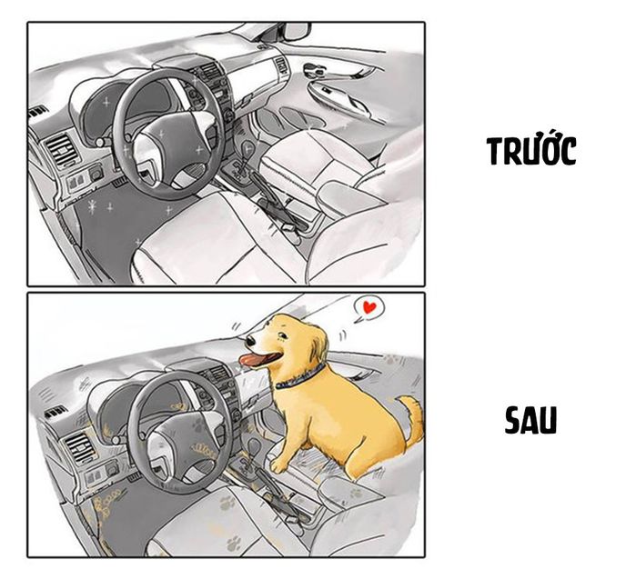 bestie su khac biet truoc va khi nuoi cho
