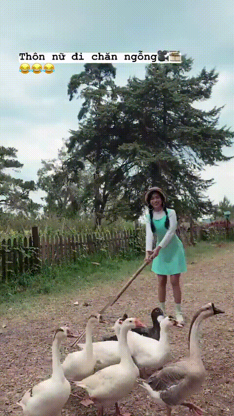 bestie anh hot sao viet tuan qua