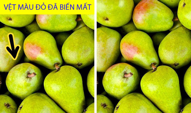 bestie tim diem khac nhau giua cac anh
