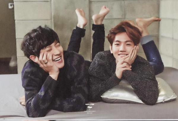 Bestie super junior