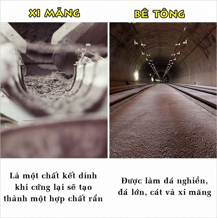 bestie nhung su that ma nhieu nguoi van hay nham lan