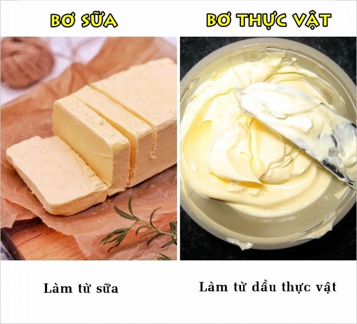 bestie nhung su that ma nhieu nguoi van hay nham lan