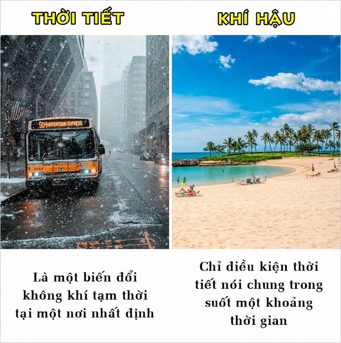 bestie nhung su that ma nhieu nguoi van hay nham lan