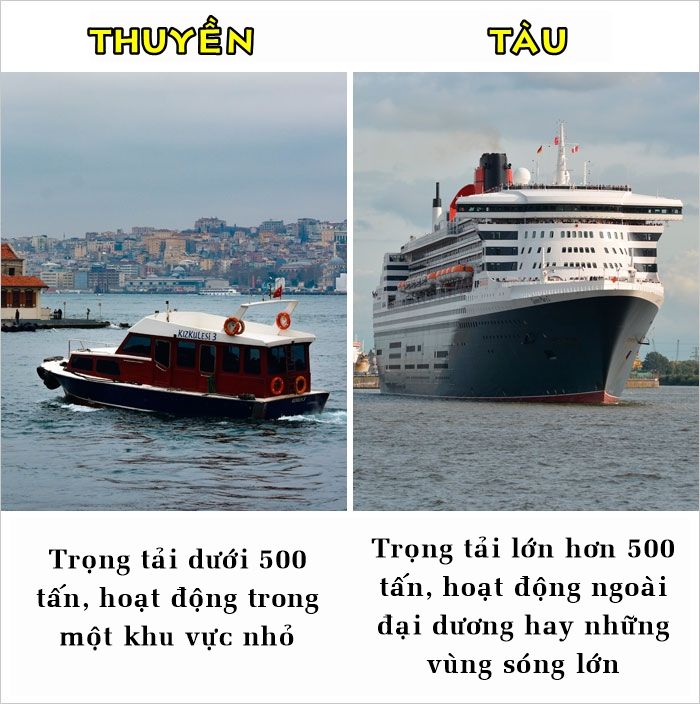 bestie nhung su that ma nhieu nguoi van hay nham lan