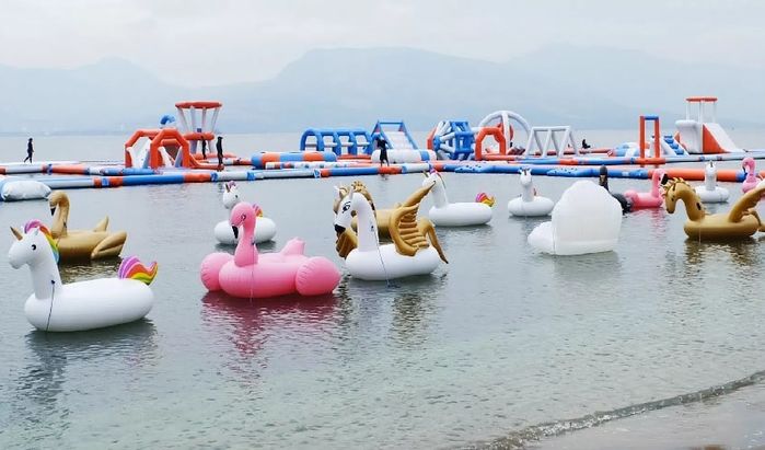 Nhà phao Kì Lân khổng lồ hot nhất hè này bạn có đi thử chưa?