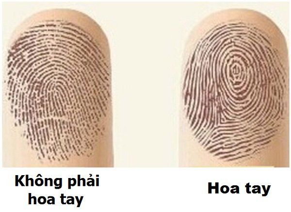 Số lượng hoa tay nói lên tính cách và vận mệnh con người
