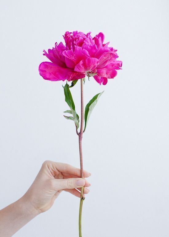 bestie tuần mới chòm sao