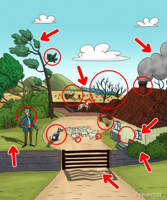 5 câu đố tìm lỗi sai ngớ ngẩn thách thức dân mạng