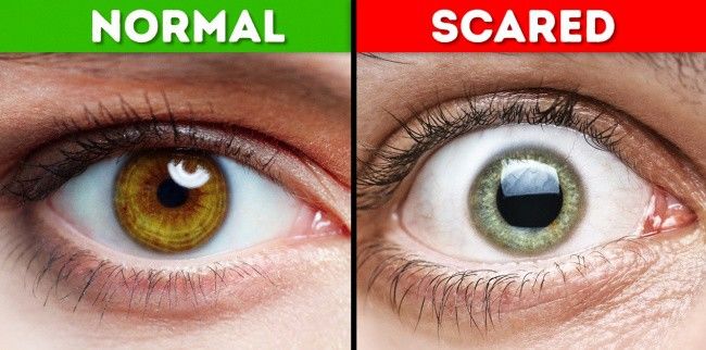 Bật mí những sự thật thú vị về cơ thể người không phải ai cũng biết