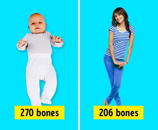 Bật mí những sự thật thú vị về cơ thể người không phải ai cũng biết
