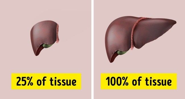Bật mí những sự thật thú vị về cơ thể người không phải ai cũng biết