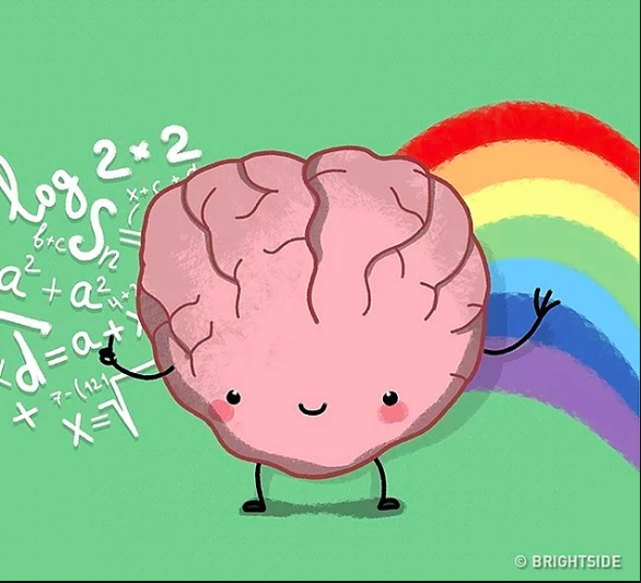 Bật mí những sự thật thú vị về cơ thể người không phải ai cũng biết