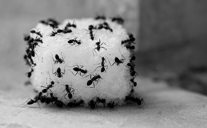 Khám phá những mẹo vặt trong cuộc sống khiến bạn ngạc nhiên