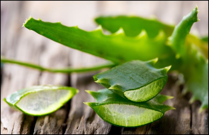 Mẹo chữa nhiệt miệng, nóng trong người bằng thực phẩm quen thuộc