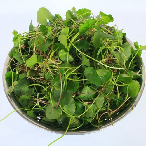 Mẹo chữa nhiệt miệng, nóng trong người bằng thực phẩm quen thuộc