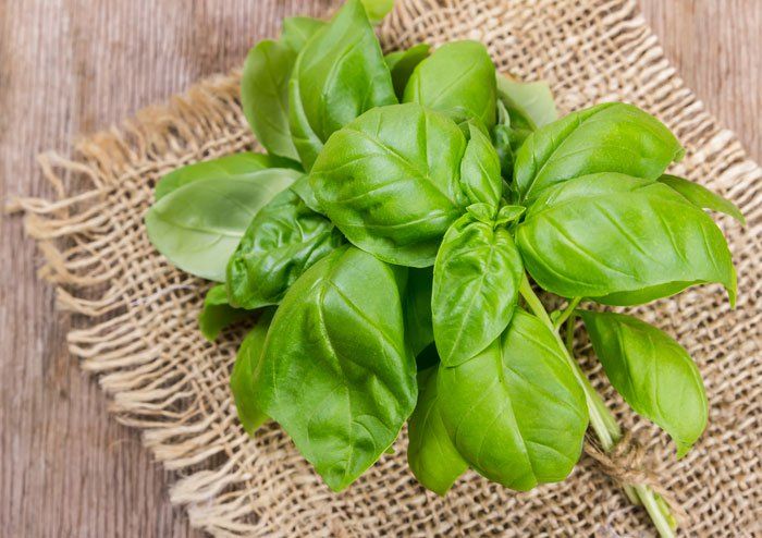 Mẹo chữa nhiệt miệng, nóng trong người bằng thực phẩm quen thuộc