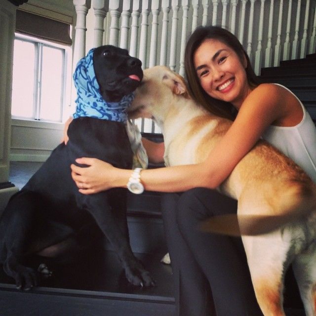 bestie nhung cach sao viet the hien su yeu chieu voi thu cung