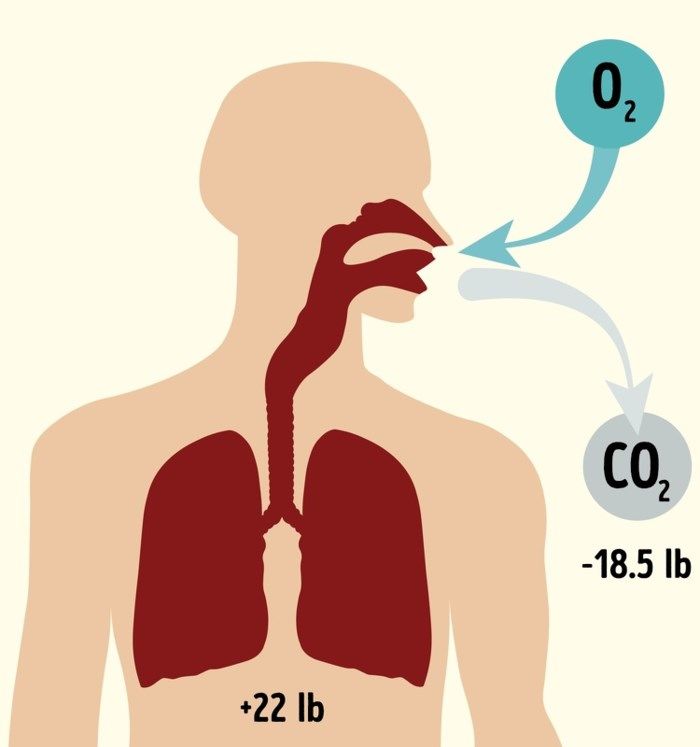 Những chuyện lạ khó tin nhưng hoàn toàn là sự thật