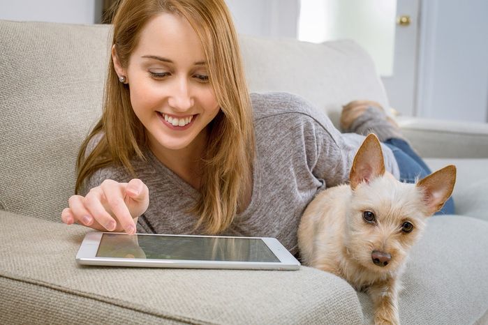 Những loại thuế kì cục kẹo nhất trên thế giới