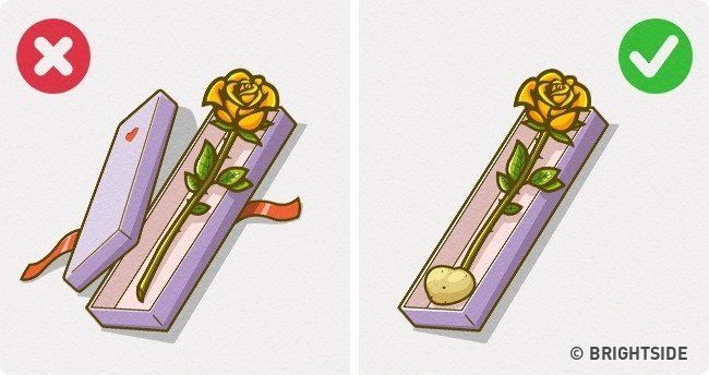 Những mẹo vặt thần thánh vô cùng hữu dụng trong cuộc sống