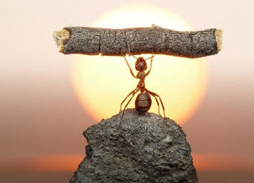 Những triết lí vàng trong cuộc sống khiến bạn bừng tỉnh ngay lập tức