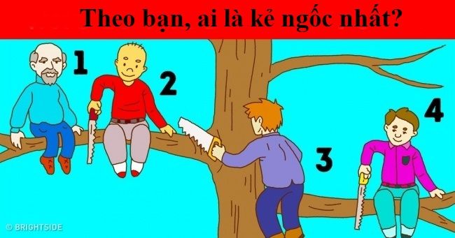 Trắc nghiệm tính cách: Ai là kẻ ngốc nghếch?