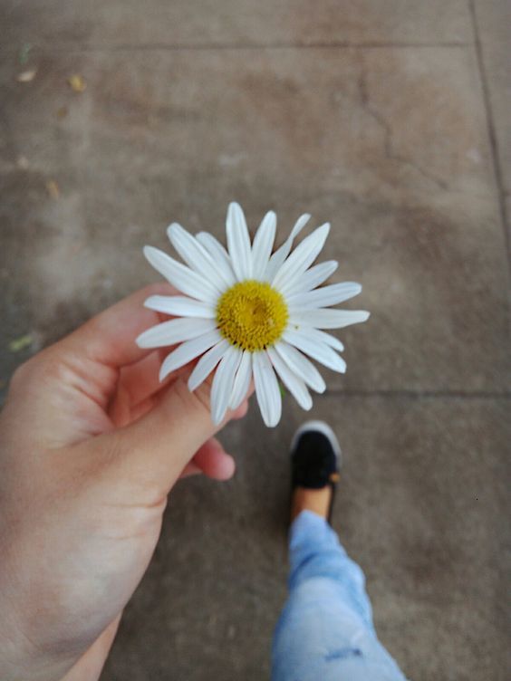 bestie tử vi tuần mới