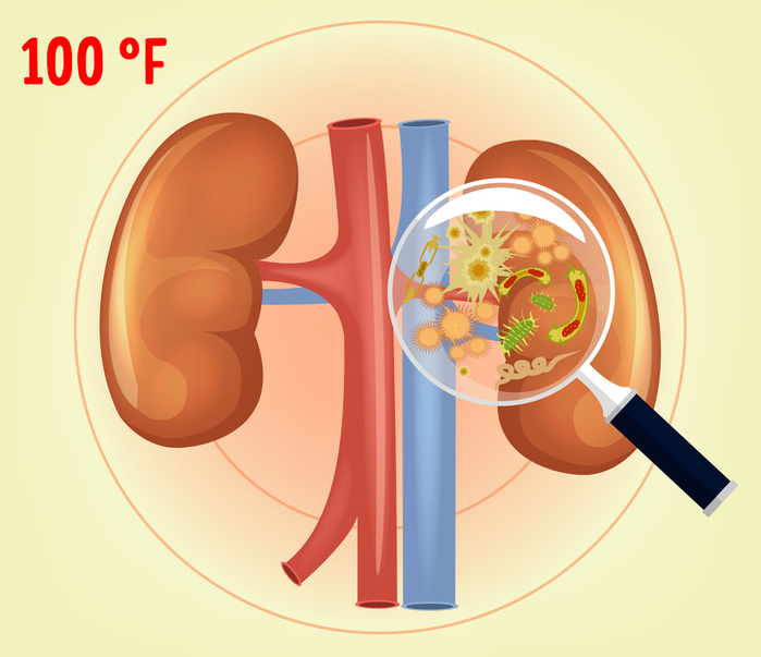 10 dấu hiệu không rõ ràng báo hiệu thận của bạn đang gặp vấn đề