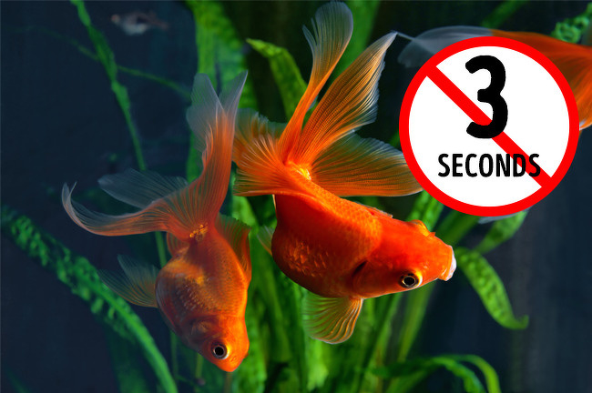 11 quan niệm sai lầm phổ biến mà nhiều người vẫn tin sái cổ!