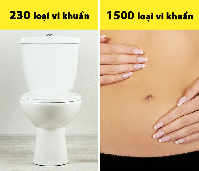 15 sự thật kinh ngạc không có trong bách khoa toàn thư