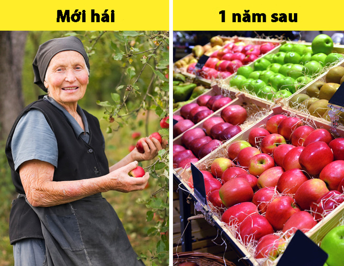 15 sự thật kinh ngạc không có trong bách khoa toàn thư