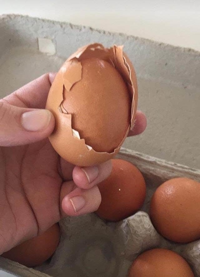 Những hình ảnh thú vị mà bạn khó lòng bắt gặp trong cuộc sống tẻ nhạt