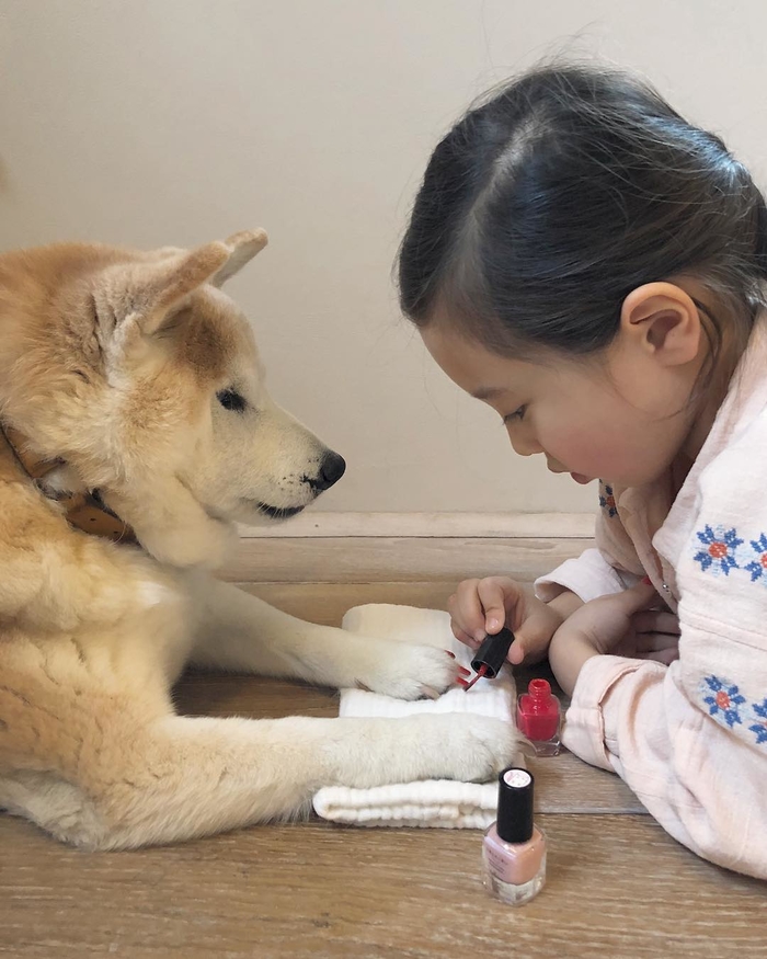 Tan chảy với khoảnh khắc đáng yêu giữa thú cưng và các nhóc tì