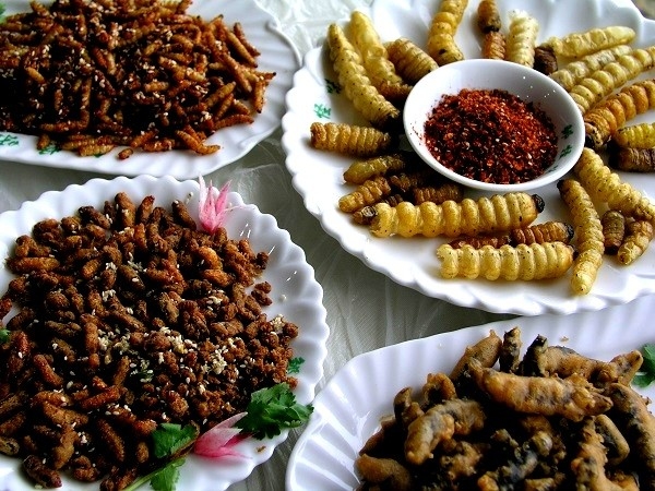 Những món ăn siêu kinh dị không phải ai cũng dám thử chỉ có ở Thái Lan
