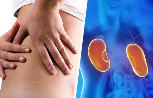 Bạn có thể mắc những căn bệnh này nếu tiêu thụ quá nhiều protein