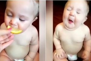 Biểu cảm hài hước của các em bé trong lần đầu thử ăn chua